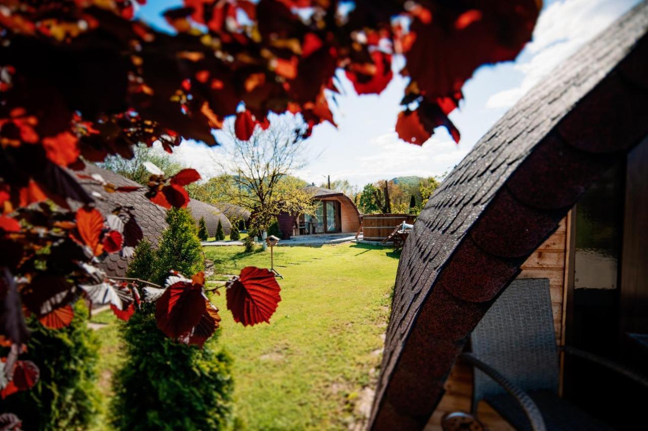 Hotel Montana Garden Răşinari Zewnętrze zdjęcie