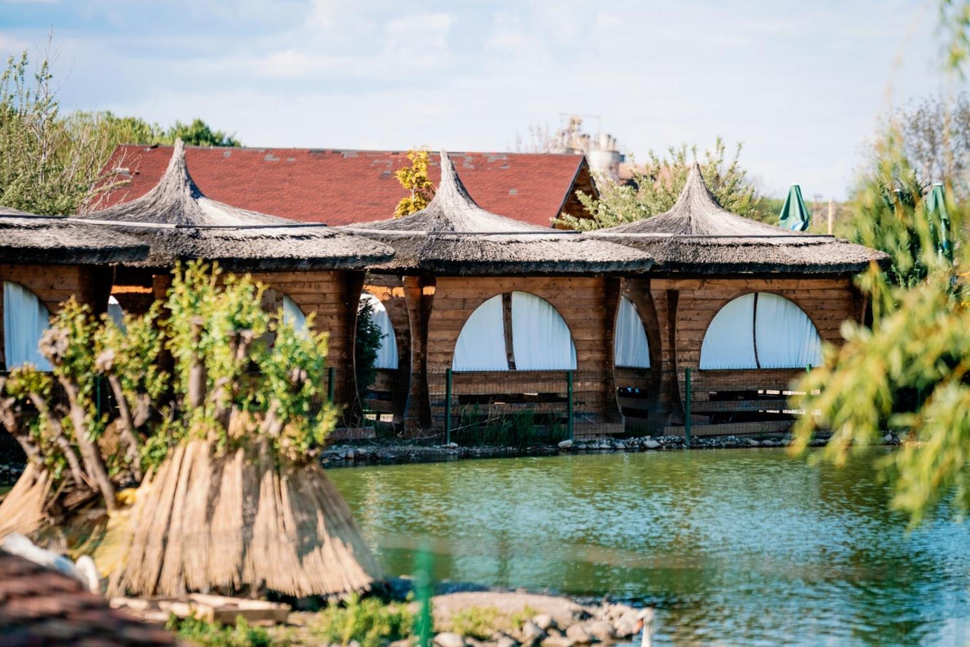 Hotel Montana Garden Răşinari Zewnętrze zdjęcie